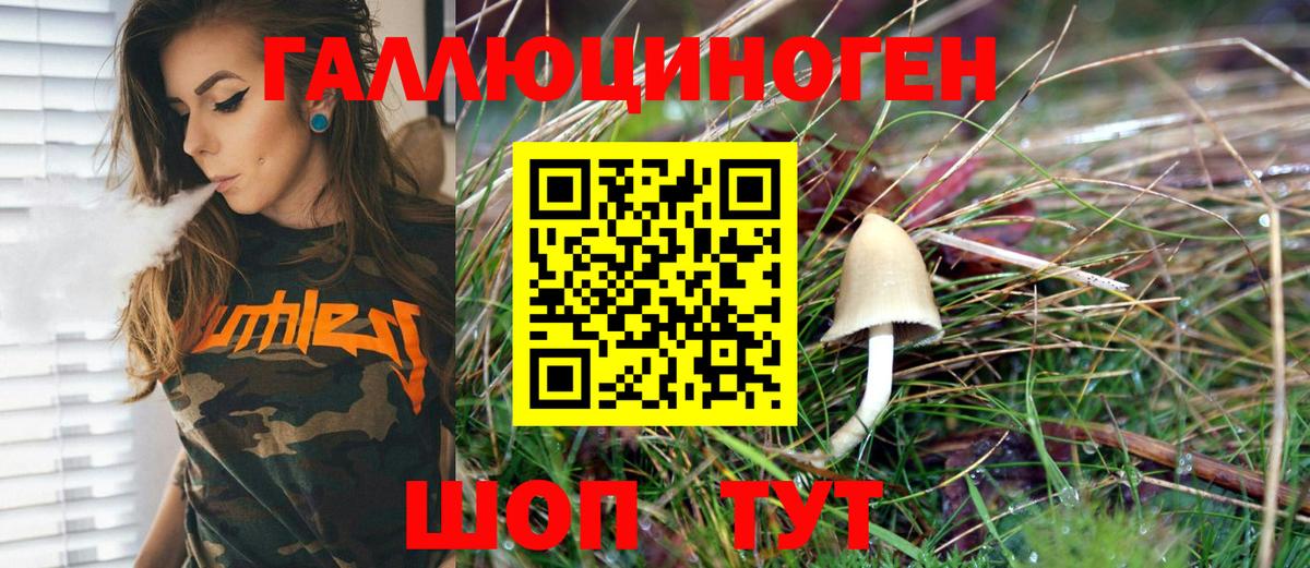 Галлюциногенные грибы Psilocybe  где продают   Воронеж  Вход с VPN 
